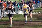 Senior Men, 2024 CAU Inter Counties Cross Country Champs., Wollaton Park, Nottingham. Photo: David T. Hewitson/Sports for All Pics